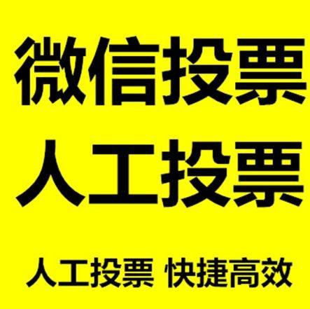 汕尾市微信刷票怎么投票