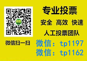 汕尾市微信手动投票费多少钱让我告诉你微信投了多少